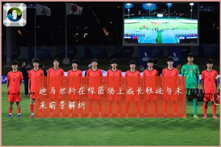 迪马尔科在绿茵场上成长轨迹与未来前景解析