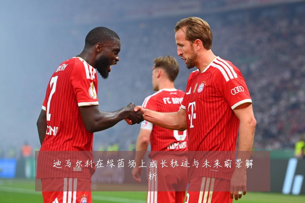 迪马尔科在绿茵场上成长轨迹与未来前景解析