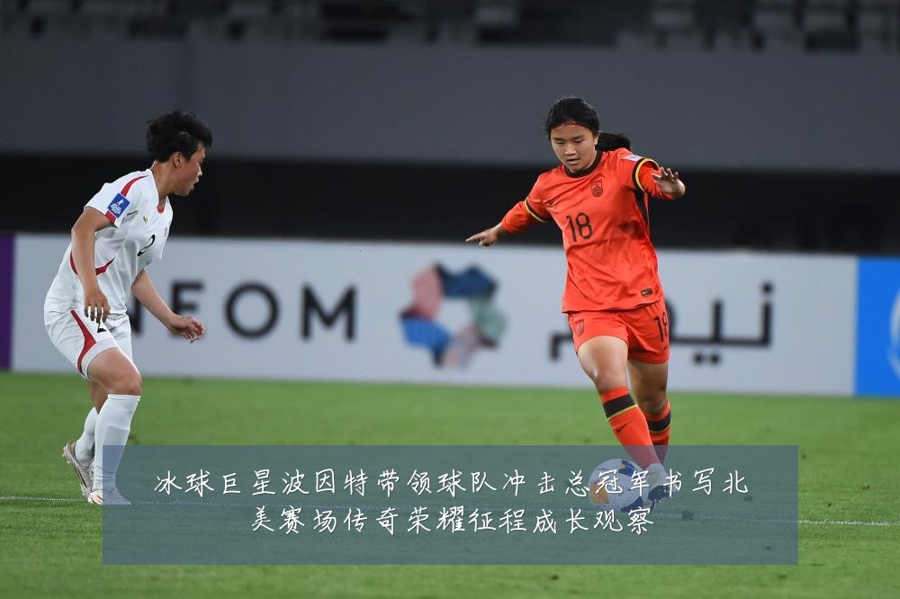 冰球巨星波因特带领球队冲击总冠军书写北美赛场传奇荣耀征程成长观察